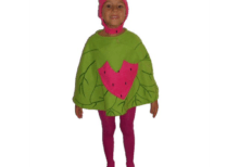 FATO CAPA MORANGO COSTUME