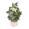 VASO DECORATION