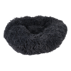 CAMA ANIMAL