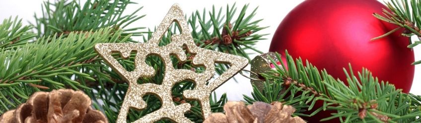  Natal 