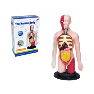 CONJUNTO MÉDICO  REF 19687