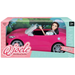 CARRO REF 19819