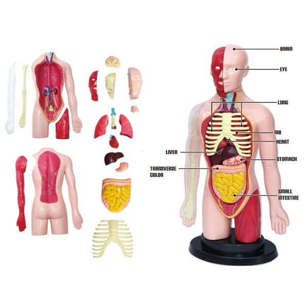 CONJUNTO MÉDICO