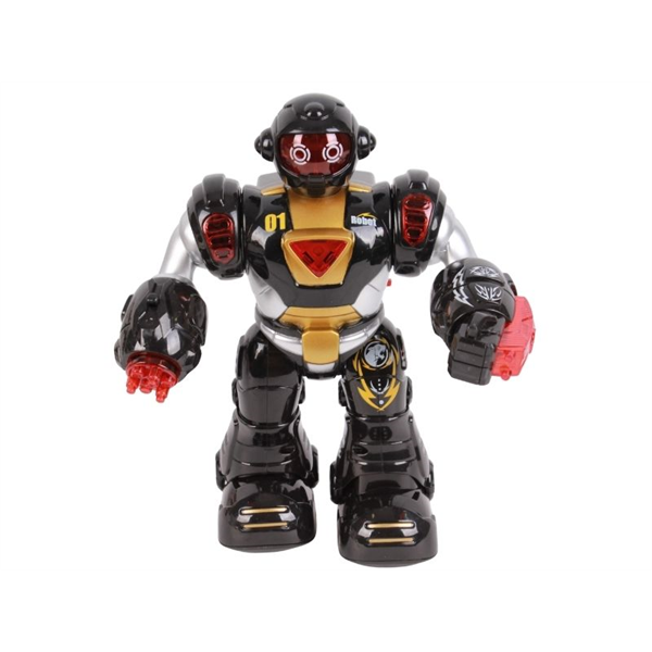 19877_3 ROBOT