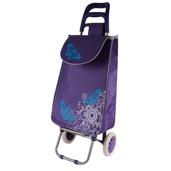 CARRO COMPRAS