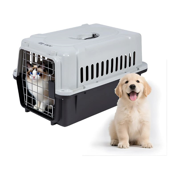 20090_3 TRANSPORTADORA