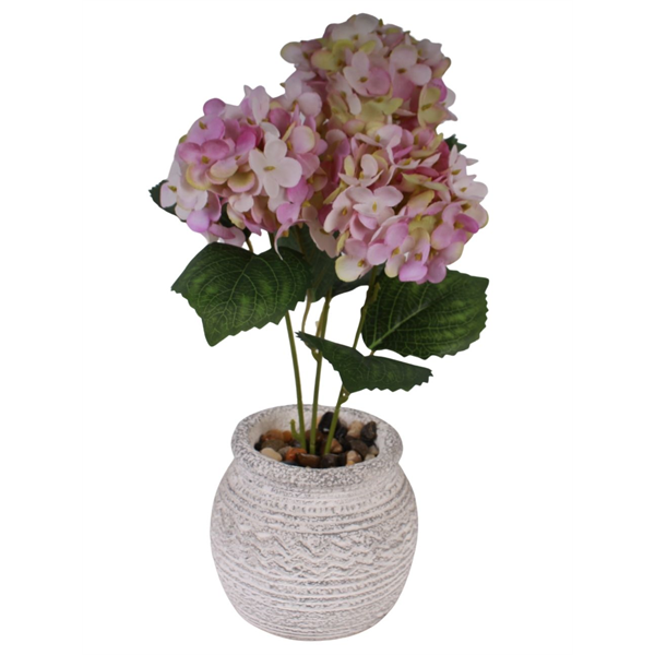 20157_1 VASO