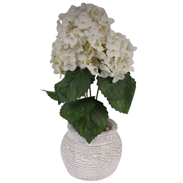 20157_2 VASO