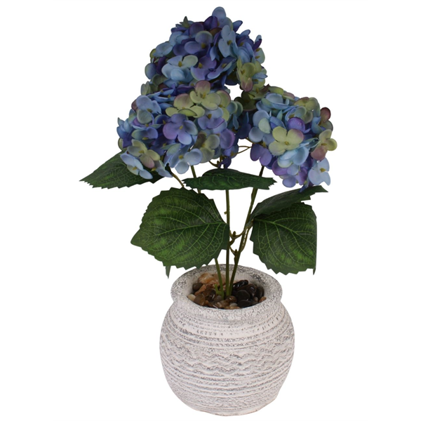 20157_3 VASO