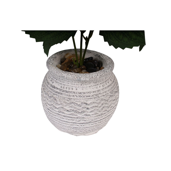 20157_5 VASO