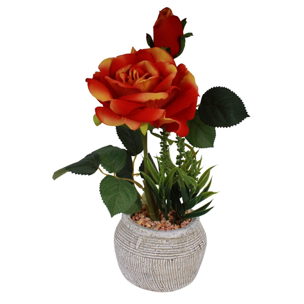 20159_1 VASO