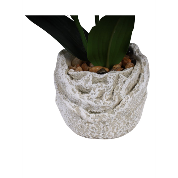 20162_5 VASO