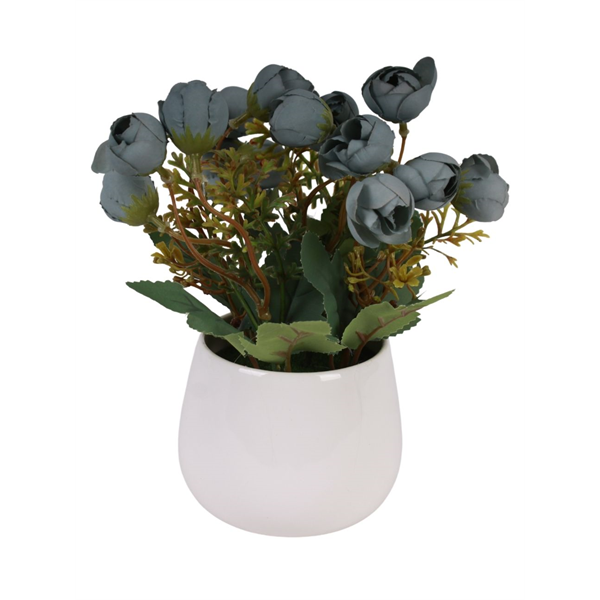 20163_1 VASO