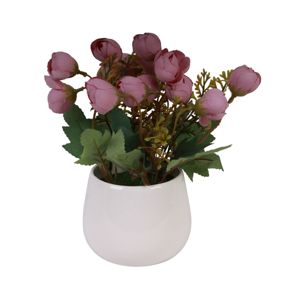 20163_2 VASO