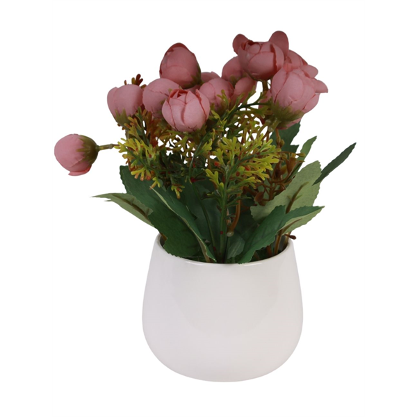 20163_3 VASO