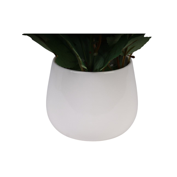 20163_5 VASO