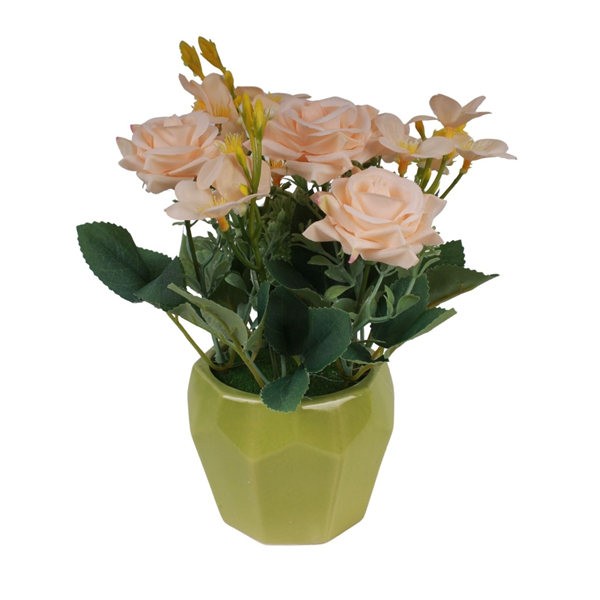 20164_1 VASO