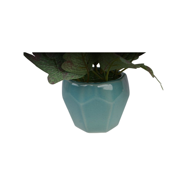 20164_5 VASO