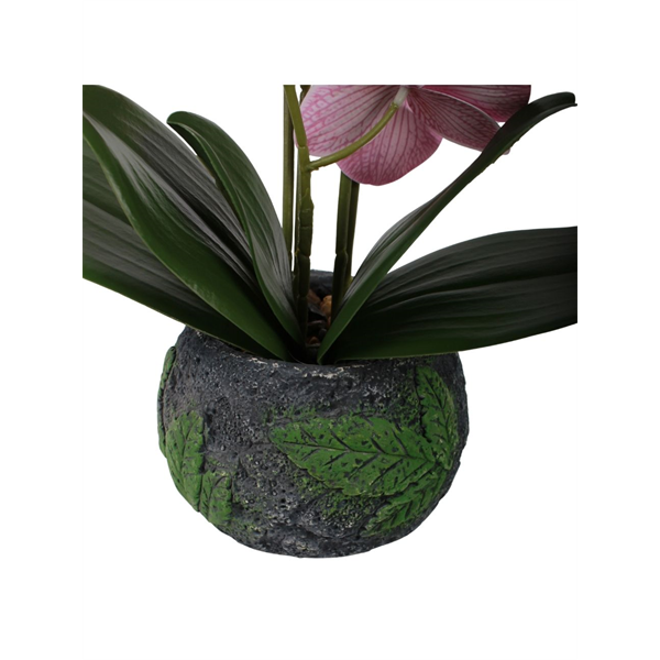 20168_3 VASO