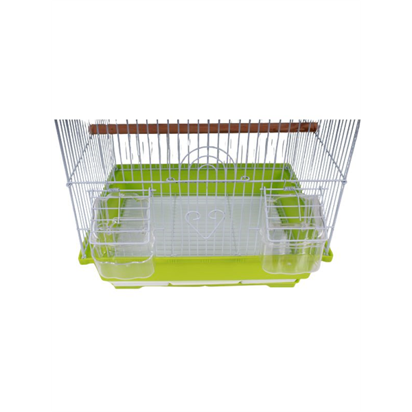 12991_2 GAIOLA