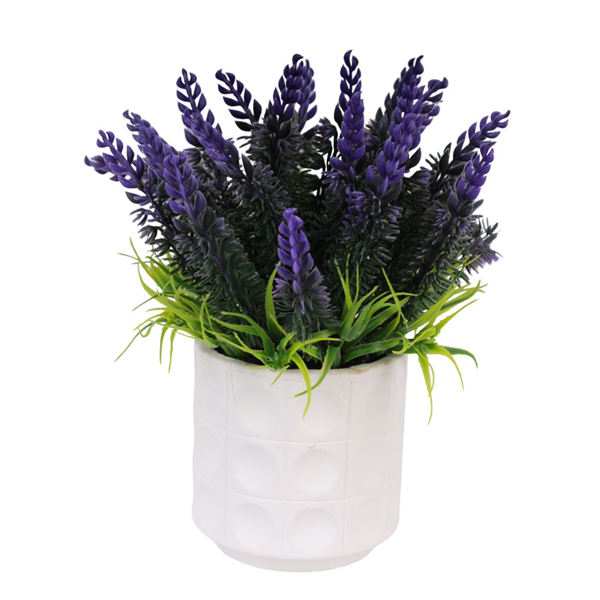 VASO