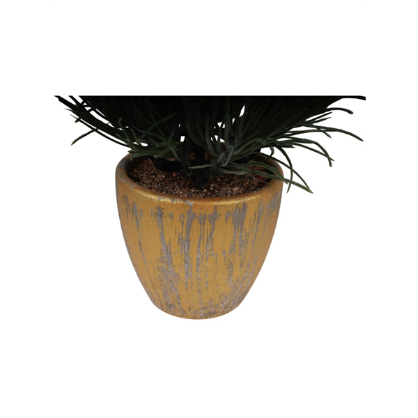 20238_5 VASO