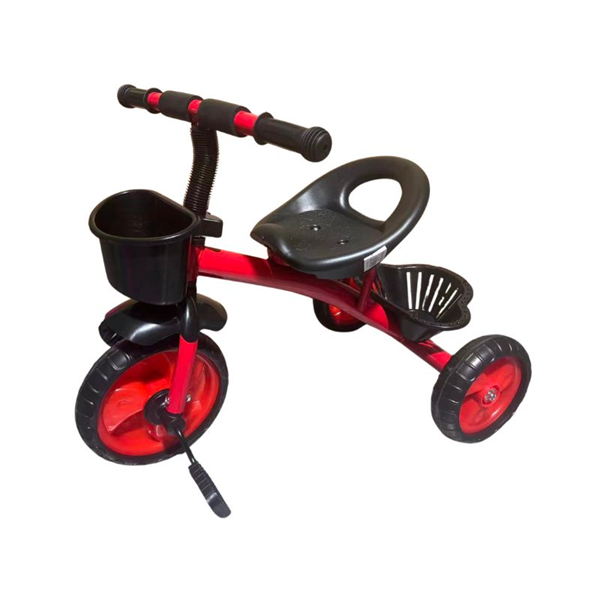 20256_0 TRICICLO